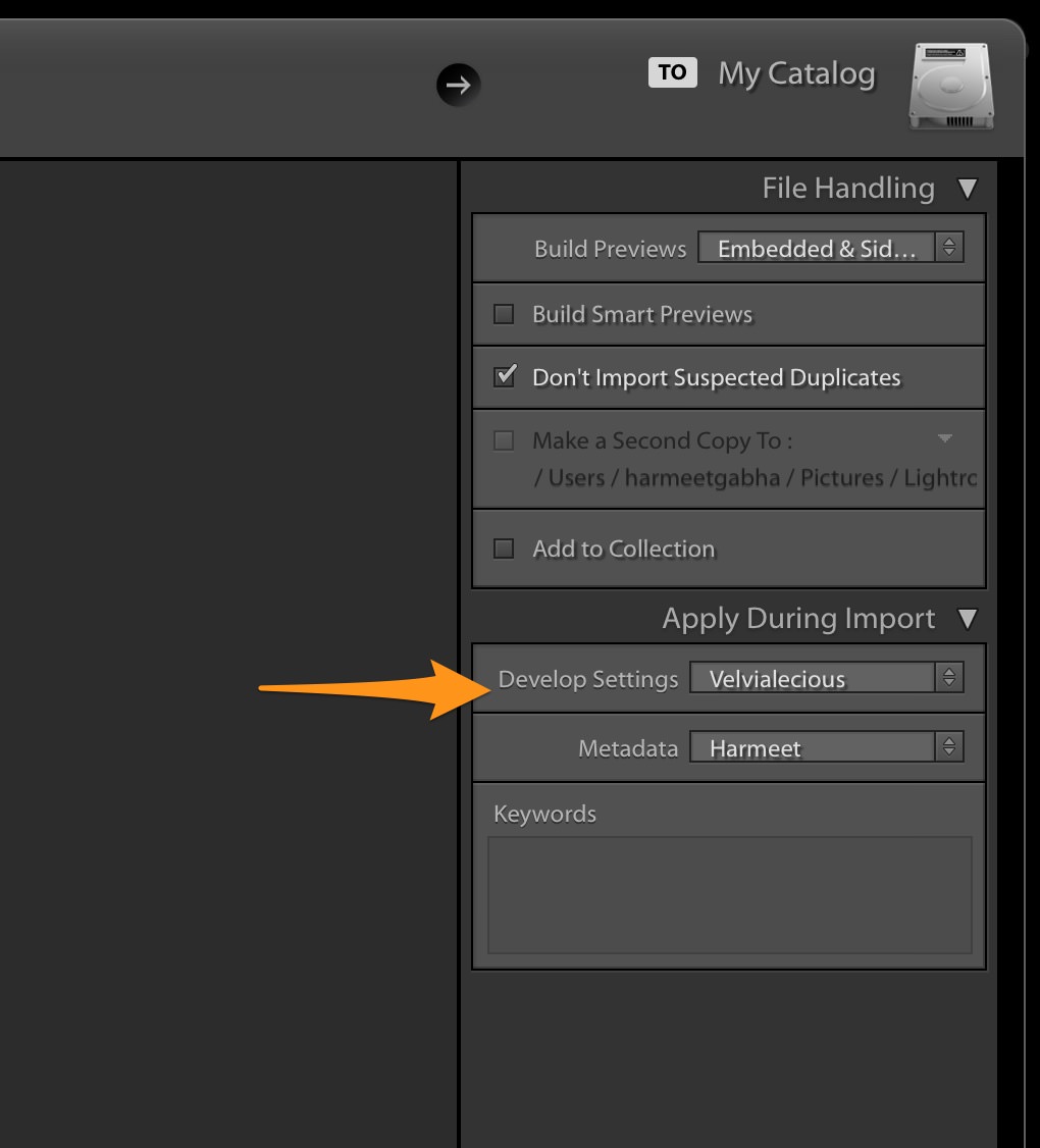 Apply During Import - Develop Settings